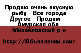 Продаю очень вкусную рыбу - Все города Другое » Продам   . Амурская обл.,Михайловский р-н